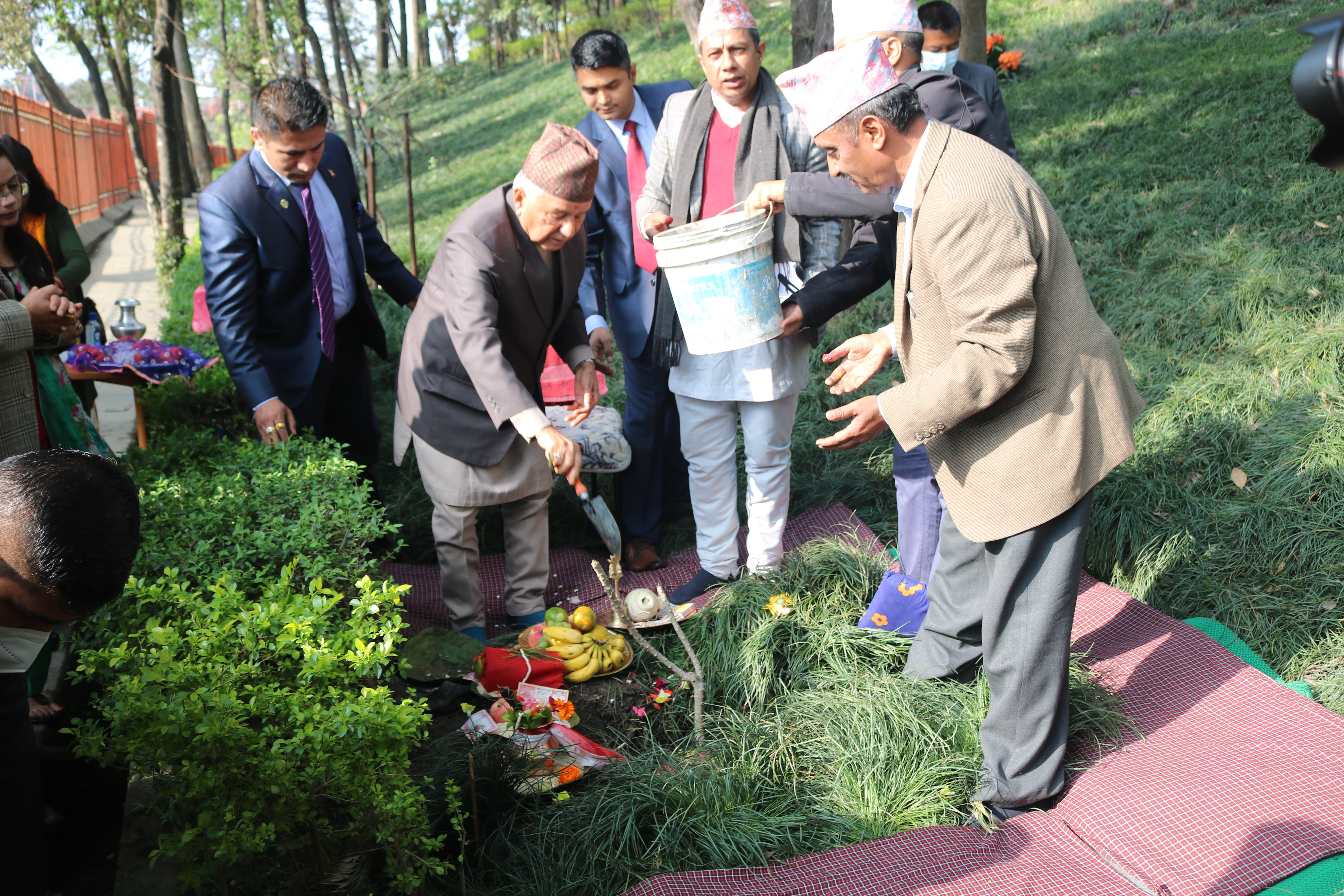 राष्ट्रपति पौडेलद्वारा वनकालीमा  वृक्षारोपण