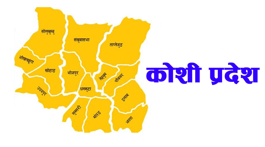 कोशी प्रदेश सरकारद्वारा सेवा केन्द्र निर्माणको तयारी