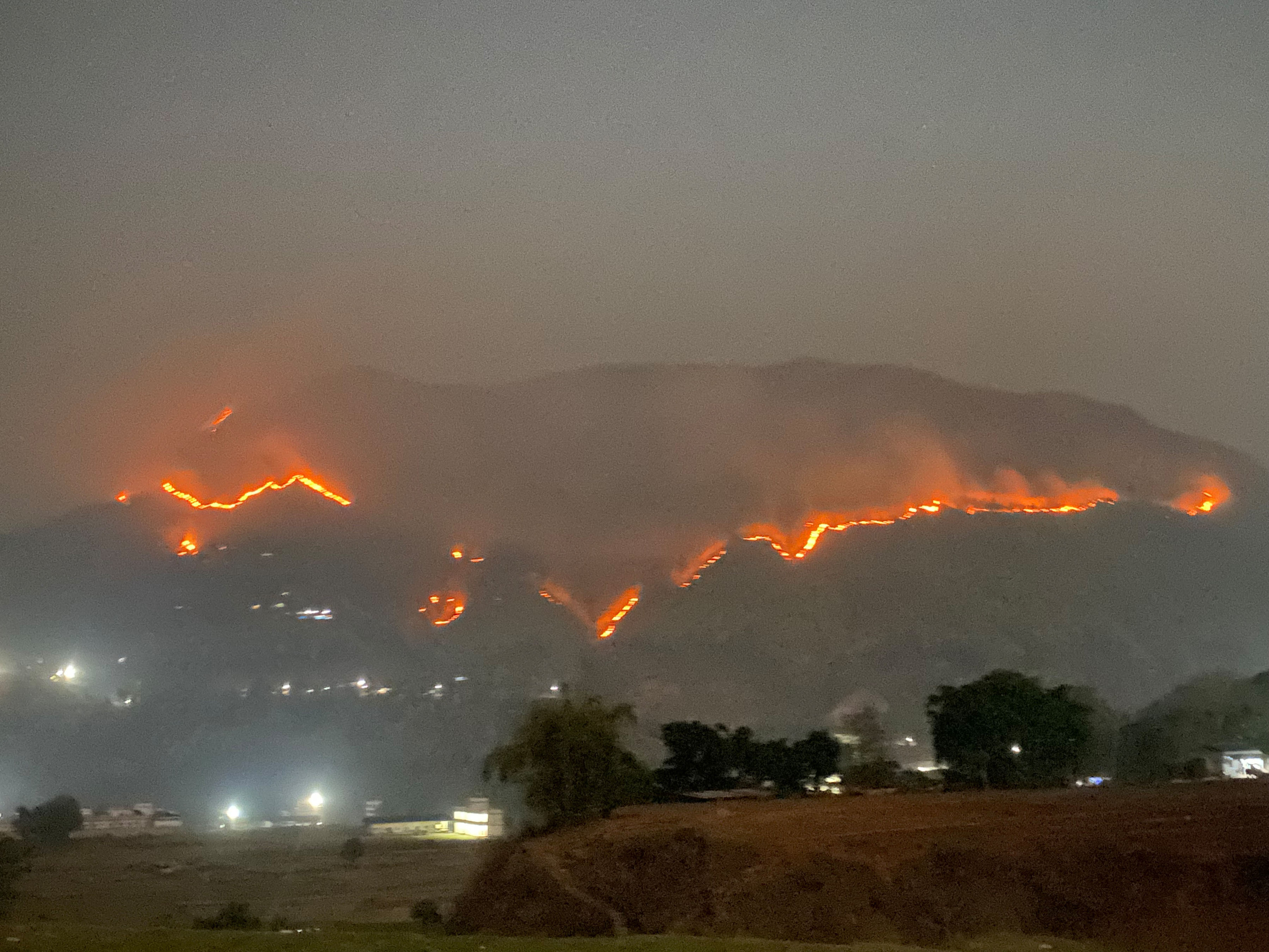 डडेलोले वनमा क्षति