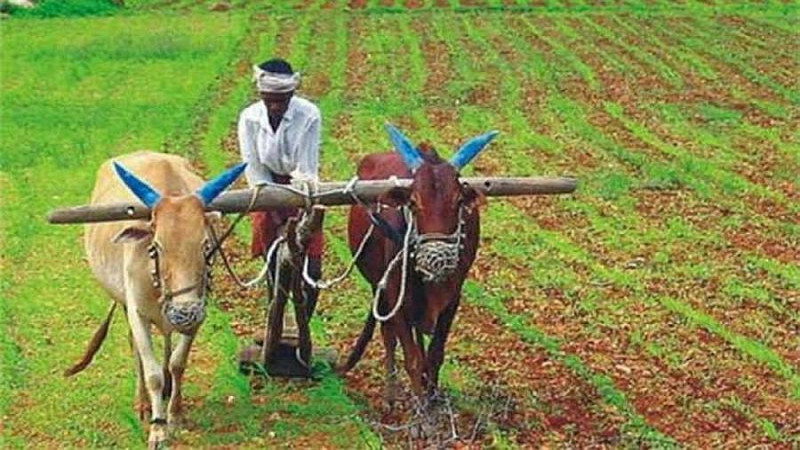 किसानमुखी हुनेगरी सहकारी ऐन परिमार्जन गर्न माग
