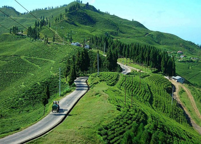 इलाम साहित्य महोत्सव शुरु