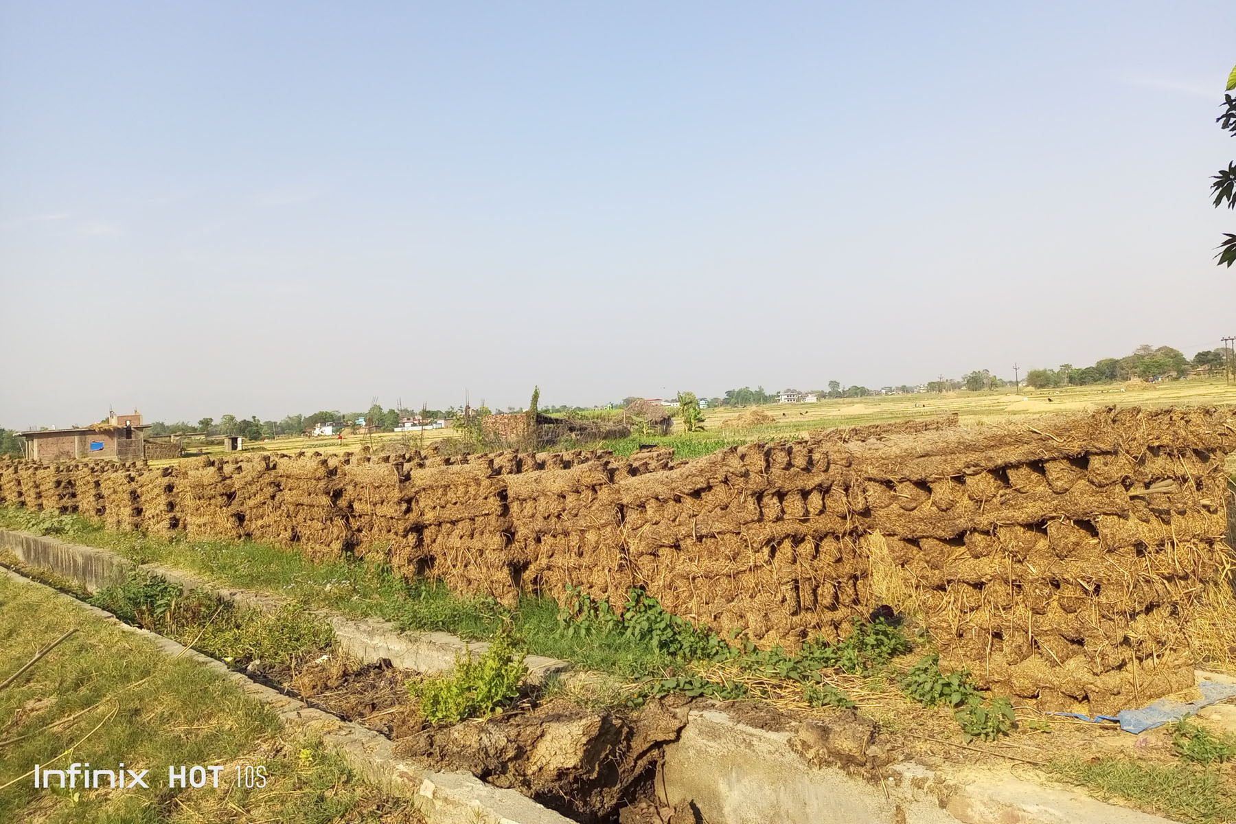 गुईठा